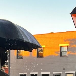 Meet your Posher, Ellie